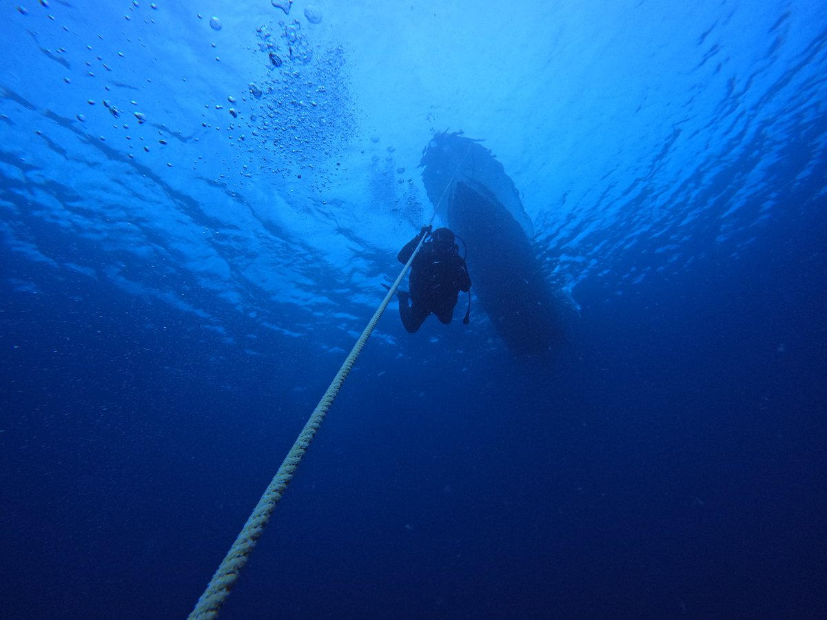 umizono's tweet image. ど~んよ~り曇り空。
今日はファン2ボート
①漁礁 水温25.0度(水深25m)透視度15~20m
②高瀬 水温25.8度(水深17m)透視度15m
また少し透視度が上がりました・・・順調順調!#鳥取県 #岩美町 #羽尾 #ダイビング