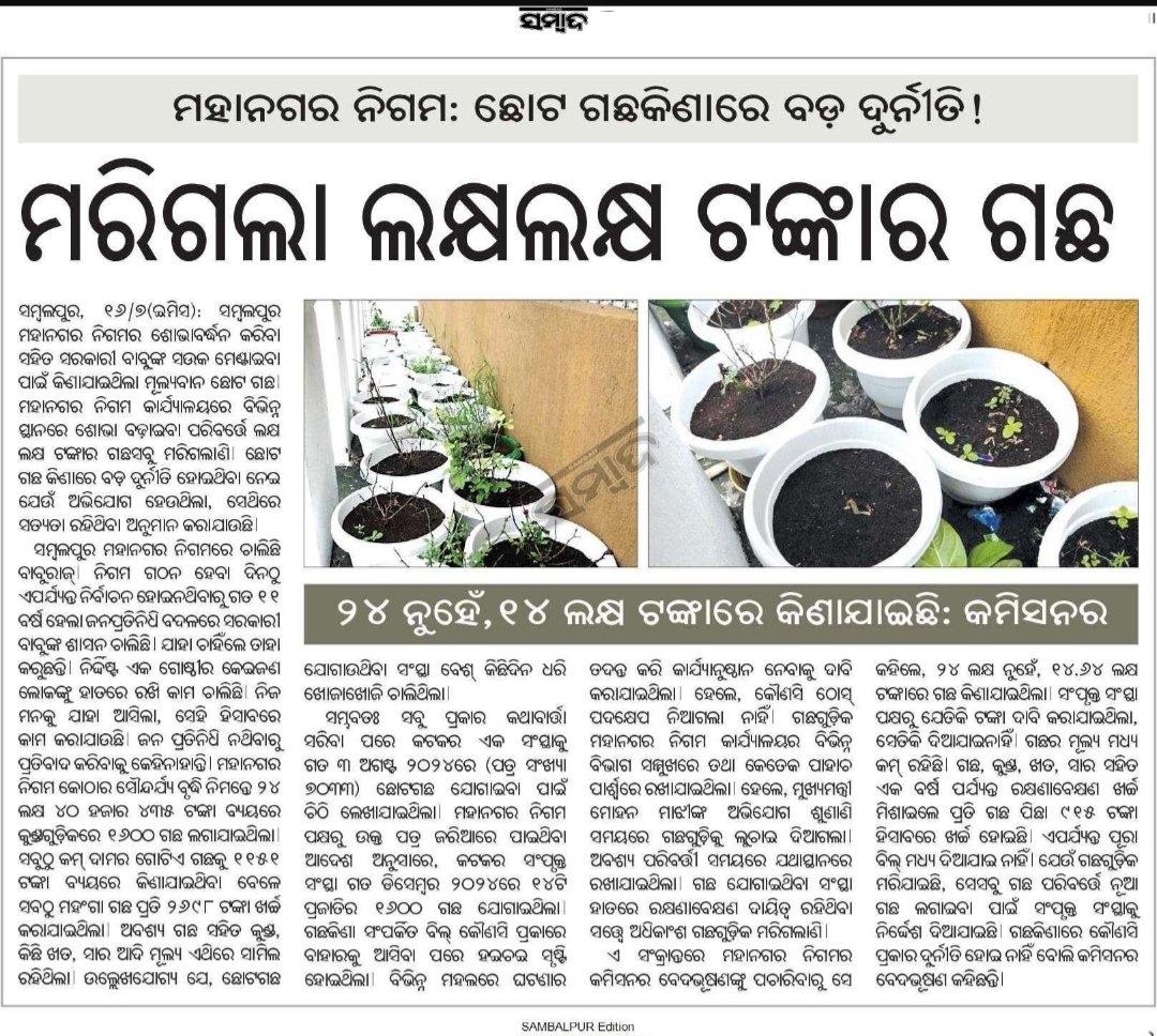 Sachin Bohidar (@sachinbohidar) on Twitter photo ମାନବାର କେ ପଡବା ମହାନଗର ନିଗମ କେ କେତେ ଜତ୍ନ ର ସାଙ୍ଗେ ସବୁ ଗଛ ଲଗାଇ ଦେଲେ, ସମ୍ବଲପୁର କେ ପୁରା ସାଗୁଆ ସବୁଜ କରିଦେଲେ...
<a href="/CMO_Odisha/">CMO Odisha</a> <a href="/Naveen_Odisha/">Naveen Patnaik</a> <a href="/SmcSambalpur/">SMC,Sambalpur</a> ମାନବାର କେ ପଡବା ମହାନଗର ନିଗମ କେ କେତେ ଜତ୍ନ ର ସାଙ୍ଗେ ସବୁ ଗଛ ଲଗାଇ ଦେଲେ, ସମ୍ବଲପୁର କେ ପୁରା ସାଗୁଆ ସବୁଜ କରିଦେଲେ...
<a href="/CMO_Odisha/">CMO Odisha</a> <a href="/Naveen_Odisha/">Naveen Patnaik</a> <a href="/SmcSambalpur/">SMC,Sambalpur</a>