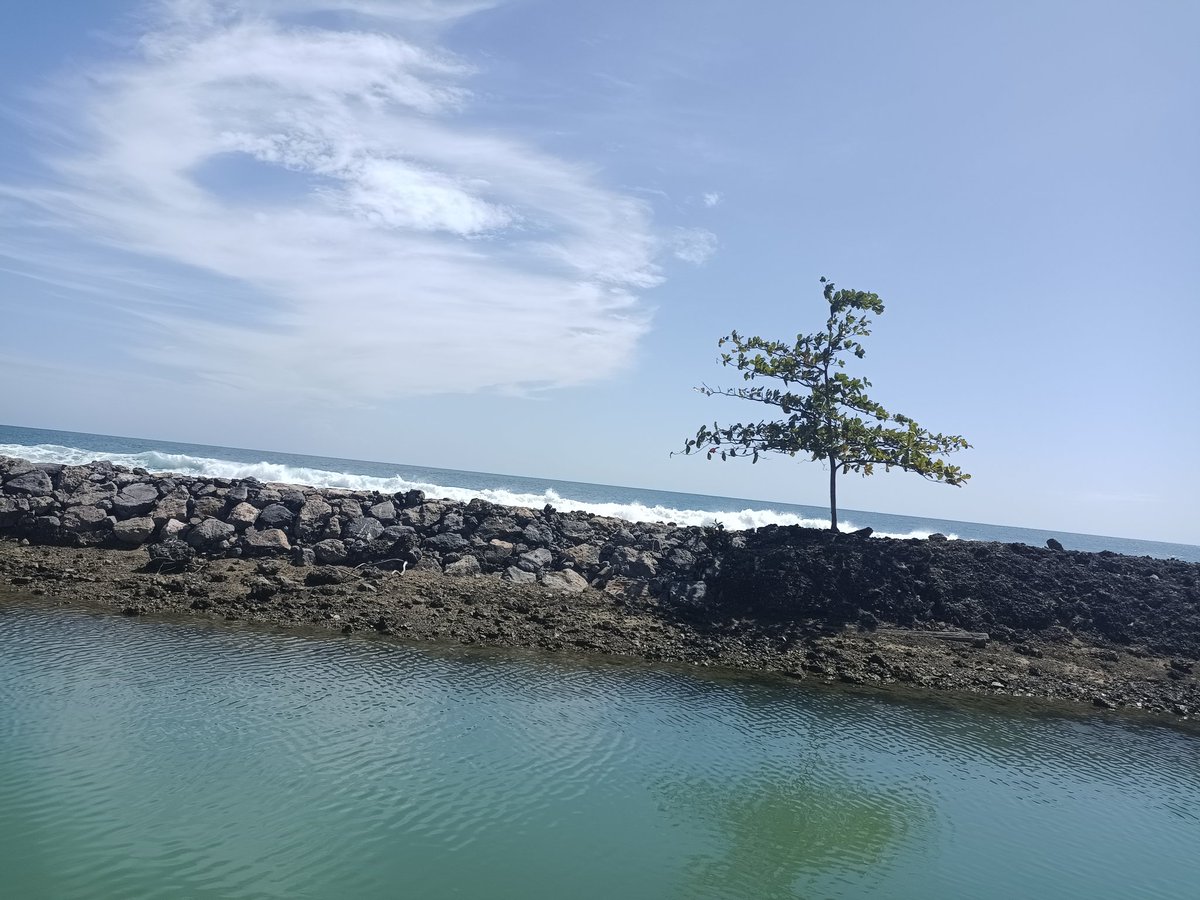 Samudra Hindia adalah kumpulan air terbesar ketiga di dunia, meliputi sekitar 20% dari total permukaan air Bumi dan merupakan lautan yang sangat berpengaruh bagi ekosistem di planet bumi.