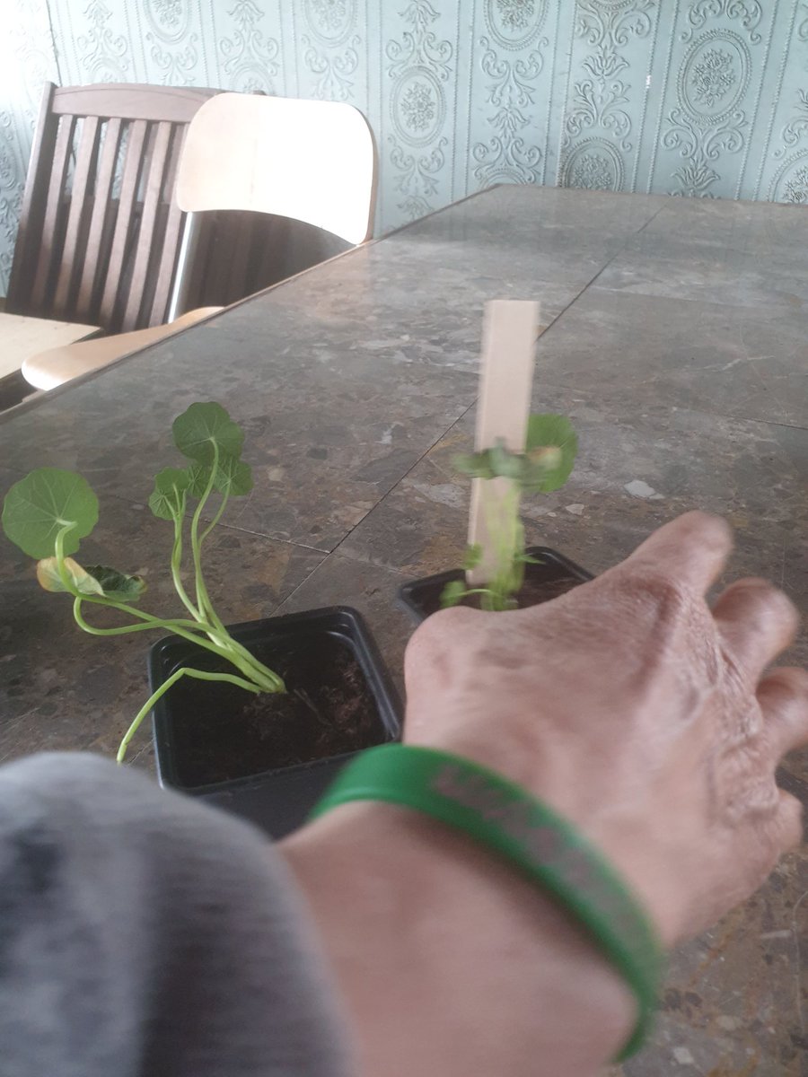 Migrant Support tweet media