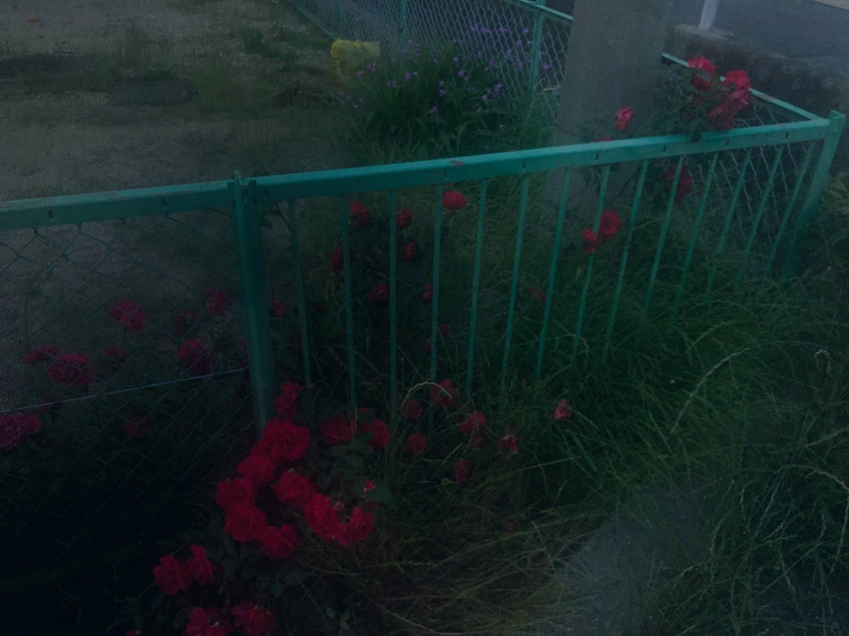 nBfAqldnuvdcd0O's tweet image. 