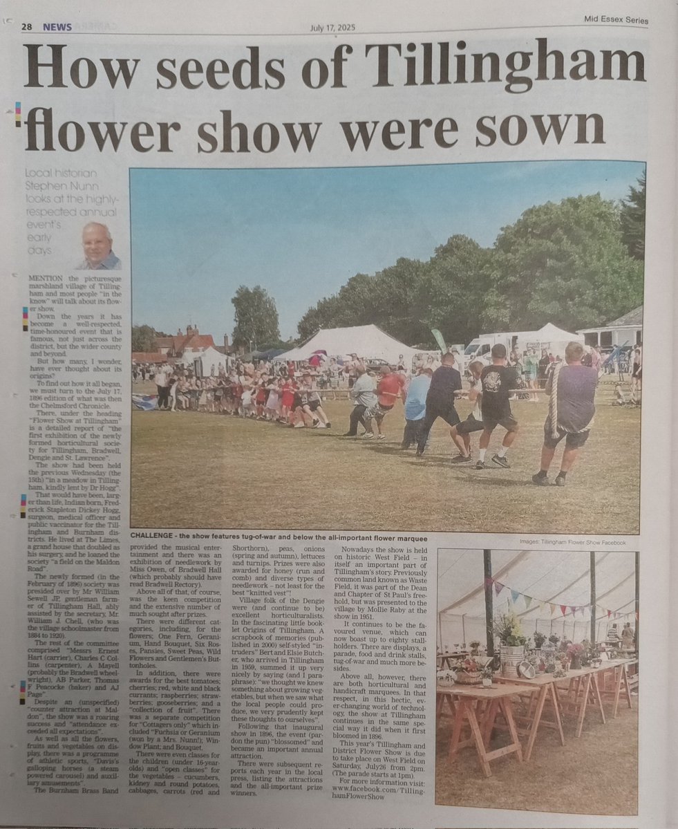 Maeldune_991's tweet image. I am discovering the first bloom of Tillingham Flower Show in today's @maldonstandard