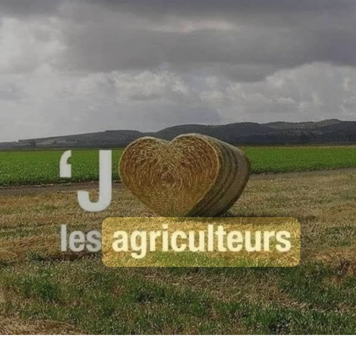 On peut vivre sans députés méprisants. Mais pas sans agriculteurs.
Eux, ce sont nos racines, notre pain, notre santé, notre avenir.
Respect et soutien ♥️