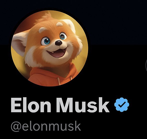 We always knew.
#Xoge