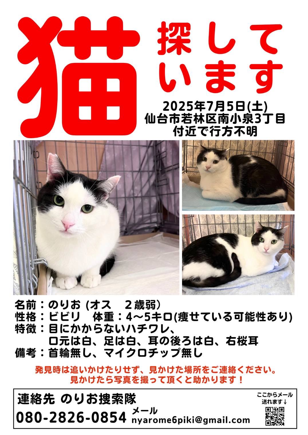 ジャックにゃん虎様 リクエスト 10点 まとめ商品 ジャックにゃん虎様 リクエスト 10点 まとめ商品（きゅっ8様