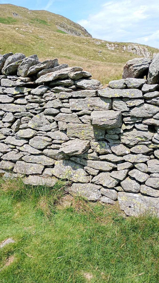 🎶it's gonna be a bright sun stiley day 🎶
<a href="/LordOrk/">JELLY HEAD</a> <a href="/Soapy_Wit_Tank/">soapy of the swans™</a> <a href="/tismenic70/">Nic J</a>