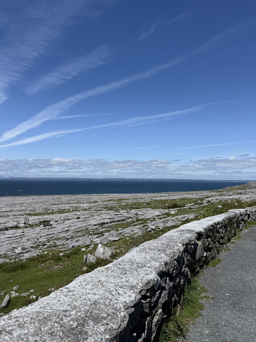 Waiting for this to come back 😎