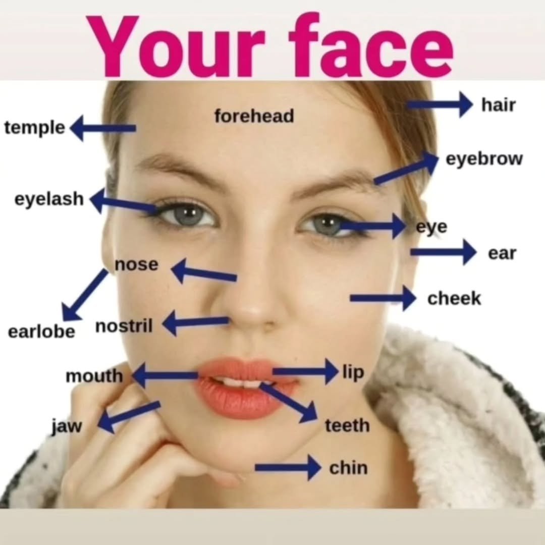english learning tips (@englishlearntip) on Twitter photo 