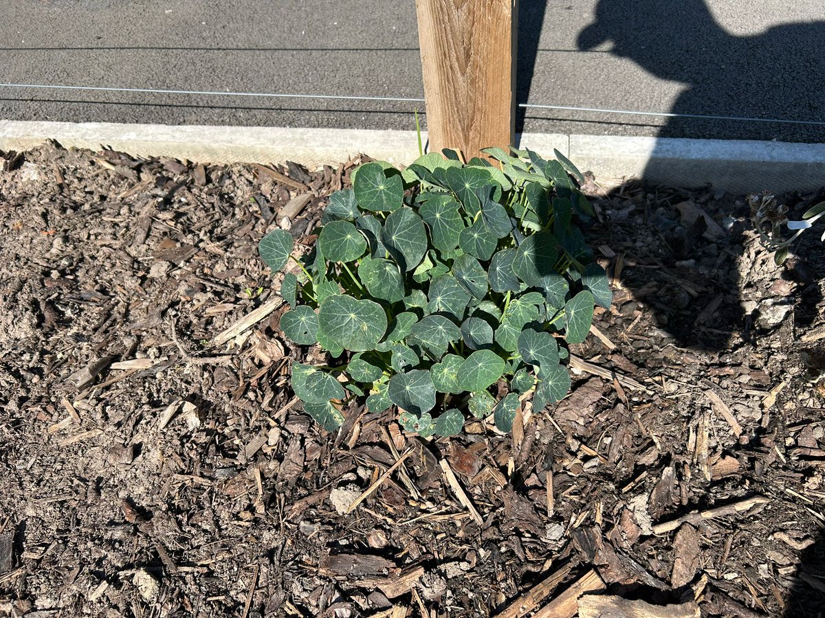 Migrant Support tweet media