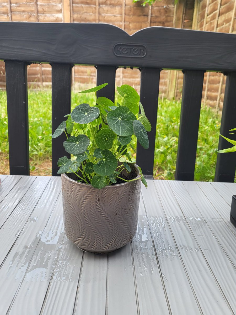 Migrant Support tweet media