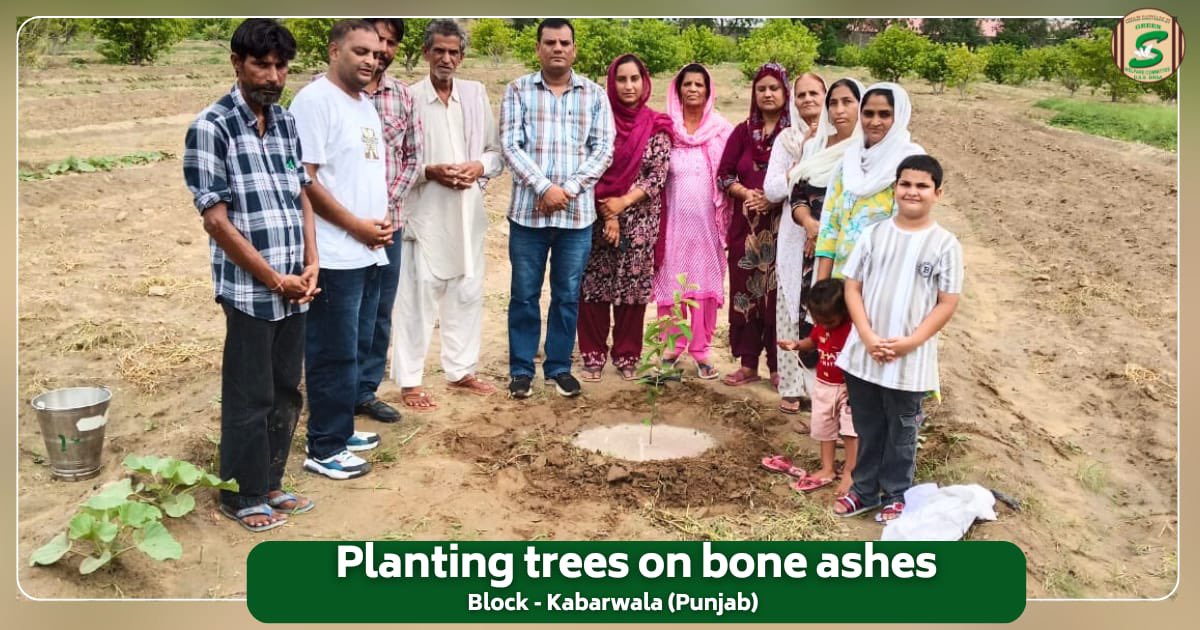 GreenSwelfares's tweet photo. When a loved one becomes a memory, let that memory grow into a tree that gives life forever.
In a heartfelt tribute, a family from Block Kabarwala (Punjab) planted a tree on the bone ashes of their beloved, following the inspiring teachings of Saint Dr. MSG Insan. This sacred act of remembrance not only honors the departed soul but also contributes to a greener, healthier planet. It is a beautiful example of turning grief into growth and love into legacy.

#PlantATree #TreePlantation #MemorialTree