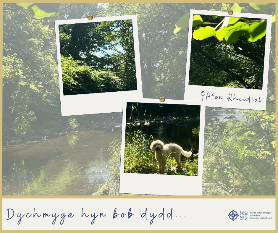 SwyddiHDdaJobs's tweet image. Dychmyga hwn bob dydd... 🌳🦮🚶
Gallwn helpu troi hyn yn realiti 📲📞📧