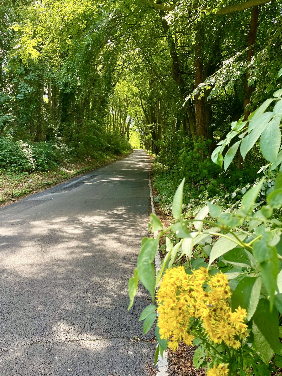 valmilam's tweet image. Early birds setting up for the Barry Sheene Festival this weekend. Oliver’s Mount, Scarborough.
