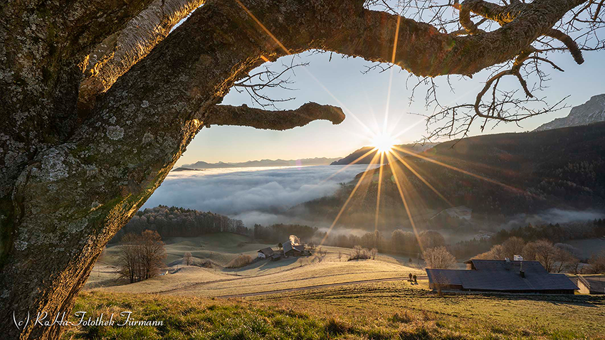 RosaFuermann's tweet photo. ... und immer wieder geht die Sonne auf über dem Rupertiwinkel, dem Berchtesgadener Land ...
- drei Minuten für die Seele -
https://t.co/HIpZKiQIJJ https://t.co/cTYNq0Kgf7