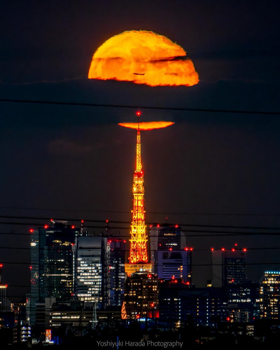 リポスト＆いいね！大歓迎。東京カメラ部2025写真展 出展予定者の yohar1114 さんのご投稿作品。（出展作品とは限りません）
instagram.com/p/DAQWUN3PkCE/
#東京カメラ部2025写真展 #つながる世界