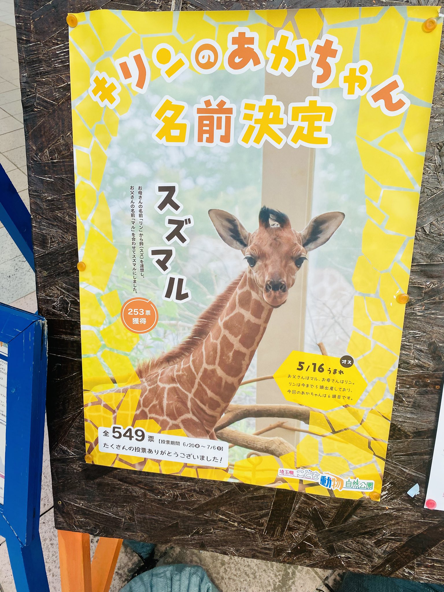 アニマルライフ 動物の大世界百科 11巻～20巻  追補 索引 アニマルライフ 動物の大世界百科 11巻～20巻 追補 索引