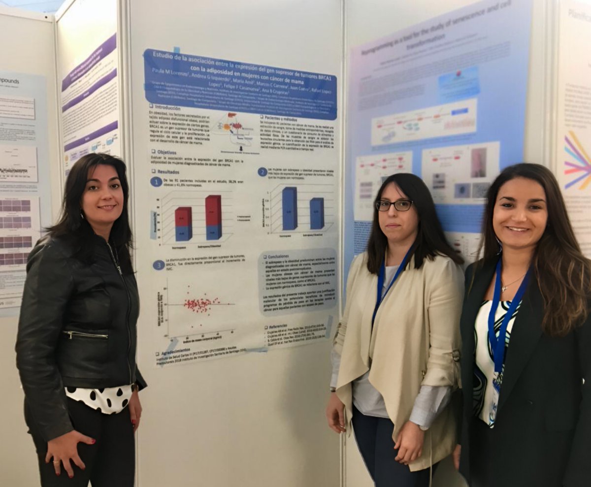 idis_research's tweet image. Una dieta cetogénica baja en grasas puede actuar como estrategia complementaria en el tratamiento del cáncer, según un nuevo estudio liderado por la investigadora del #IDIS, @acrujeirasm, que ha sido recientemente publicado por el J. Physiol. Biochem 🔽
idisantiago.es/un-estudio-del…