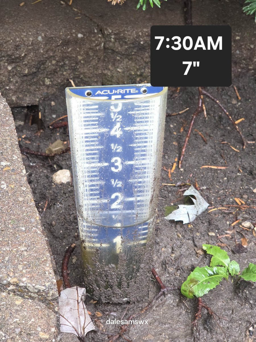 Dale Sams ©️ (@dalesamswx) on Twitter photo 7:30am *STORM TOTAL*:
Rain has ended here in Independence,MO. At 4am this morning I measured 5" of rain. Rain wrapped up with storm total of 7"! Run off drains are doing their part. <a href="/NWSKansasCity/">NWS Kansas City</a> <a href="/fox4wx/">Fox 4 Weather KC</a> <a href="/NickBenderKMBC/">Nick Bender</a> <a href="/AlexCounteeWX/">Alex Countee</a> <a href="/hellohannav/">hanna ✰🌪️🌩️🪦</a> #kcwx #mowx 7:30am *STORM TOTAL*:
Rain has ended here in Independence,MO. At 4am this morning I measured 5" of rain. Rain wrapped up with storm total of 7"! Run off drains are doing their part. <a href="/NWSKansasCity/">NWS Kansas City</a> <a href="/fox4wx/">Fox 4 Weather KC</a> <a href="/NickBenderKMBC/">Nick Bender</a> <a href="/AlexCounteeWX/">Alex Countee</a> <a href="/hellohannav/">hanna ✰🌪️🌩️🪦</a> #kcwx #mowx