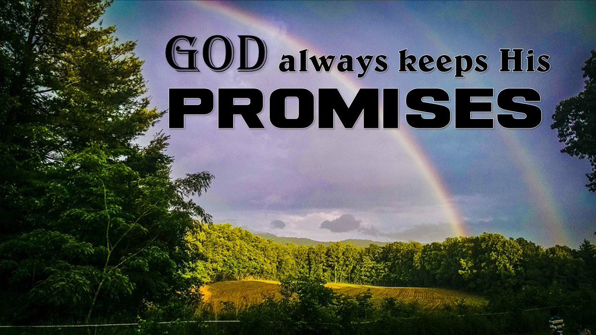 jefferykarnes's tweet image. God’s promises aren’t based on your perfection but on His unchanging Word. If you’re in Christ, you’re an heir to every promise He’s made. #HeirsOfPromise #Galatians #GraceNotWorks #Jesus