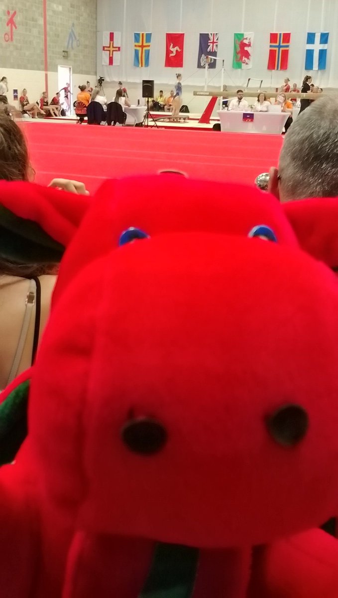 This little lad is now at gymnastics. Freebie has now been to every sport available here in Orkney 2025 supporting Ynys Mon competitors that are taking part and those where Ynys Mon are not participating. 👏

Someone asked us, if he was for sale.☝️🏴󠁧󠁢󠁷󠁬󠁳󠁿❌. Absolutely not we said!!!!