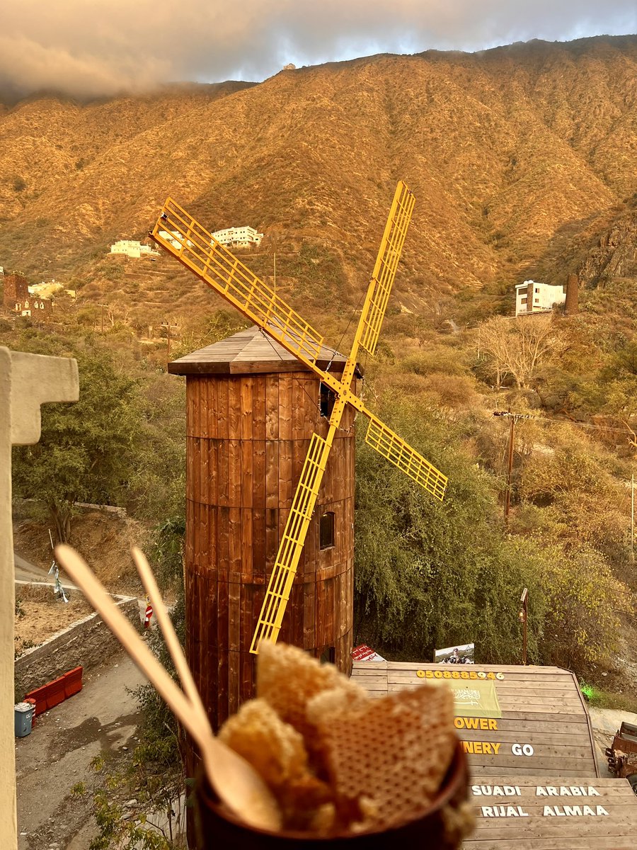 هذا من أجمل الأماكن في السعودية. كنت ضيف شرف هناك قبل ثلاث سنوات، حيث أهدوني أغلى عسل في العالم. كان على كل برطمان سعره، وكان في حقيبة جميلة بألوان مختلفة من العسل الداكن والفاتح والأبيض. أتمنى العودة وزيارته مرة أخرى، يبدو أنهم أضافوا لمسات جمالية لهذا المكان الجميل، فصاحب خلية