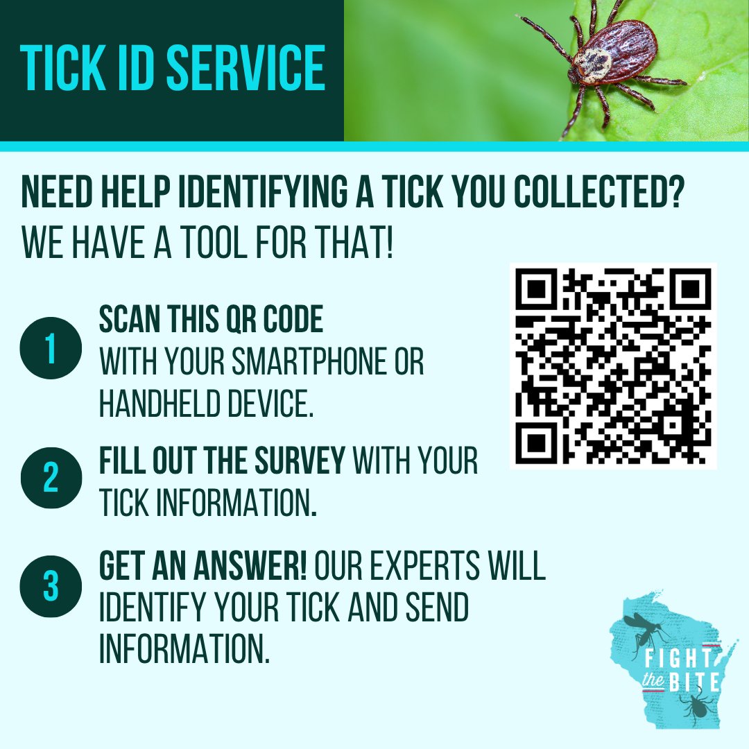 DHSWI's tweet image. Learn about the tick that you found on yourself, your child, or a pet. It's as easy as 1, 2, 3! 1.) Visit the tick identification service site to answer a few questions about the tick. 2.) Take a clear picture of the tick. 3.) Submit for info and tips! dhs.wisconsin.gov/tick/wisconsin…