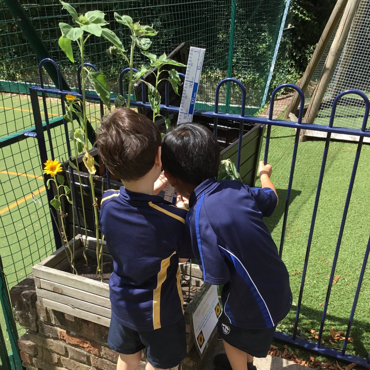 Devonshire House tweet media