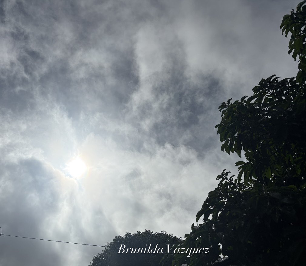 VazquezBrunilda's tweet image. Buenos días desde la Montaña Comerio!!@DeborahTiempo @SLopezTiempo @CycloforumsPR @skytrafficpr @YarimCorreaPR