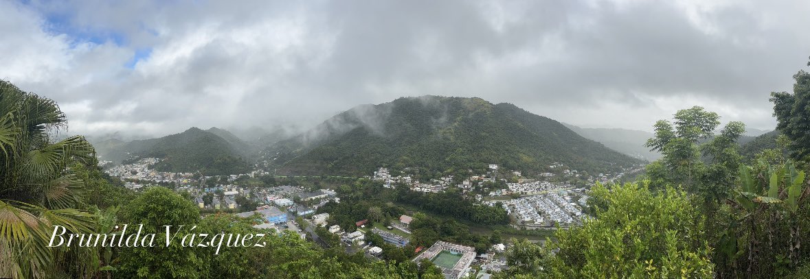 VazquezBrunilda's tweet image. Buenos días desde la Montaña Comerio!!@DeborahTiempo @SLopezTiempo @CycloforumsPR @skytrafficpr @YarimCorreaPR