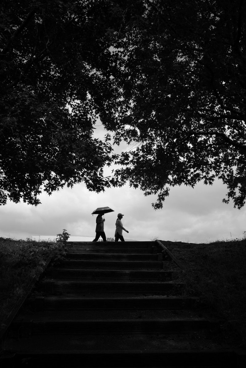 Samechan__17's tweet image. 優しい時間 2025 No193
Gentle Time
#優しい時間
#gentletime
#gr3
#モノクロ写真
#blackandwhitephotography
#白黒写真
#monochromephotography
#写真が好きな人と繋がりたい