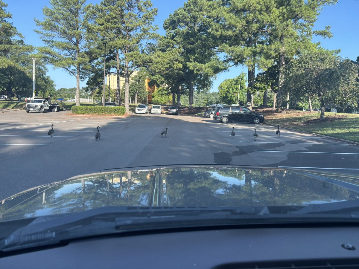 Reid Lanigan tweet media