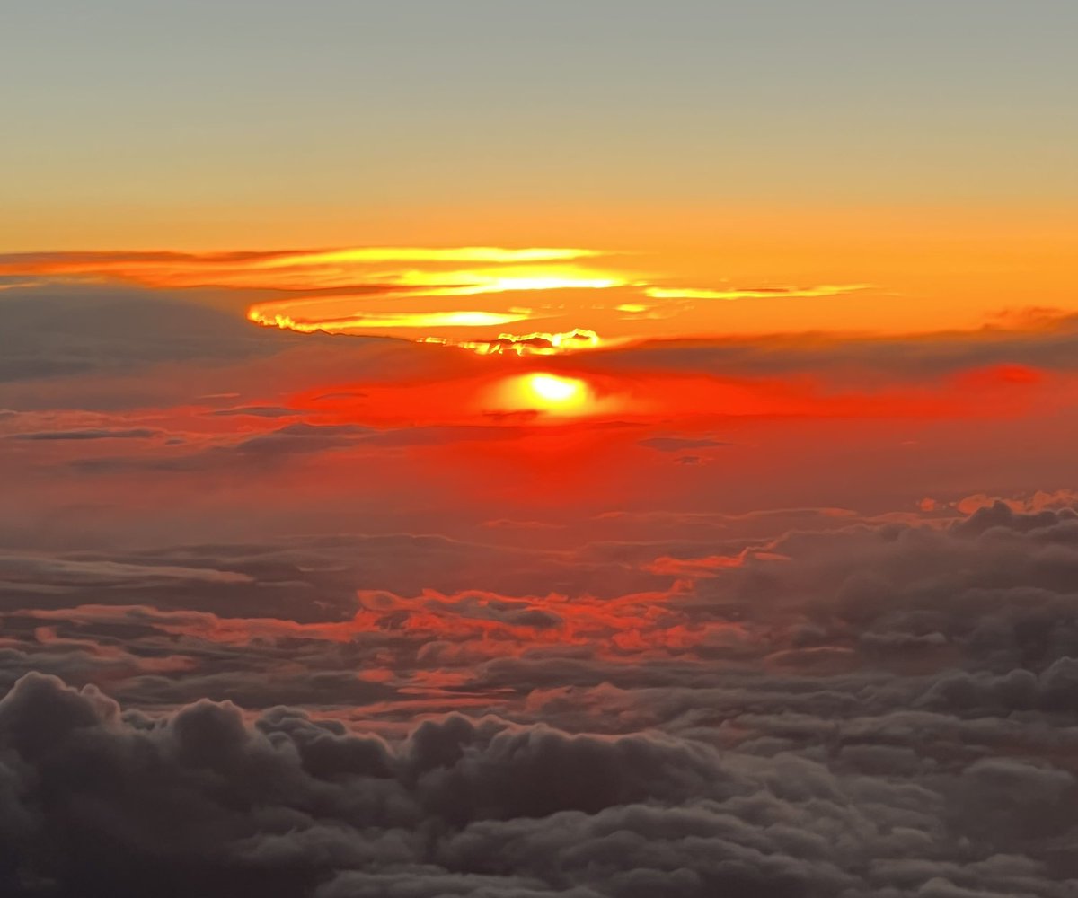 Mike Kusibab tweet media