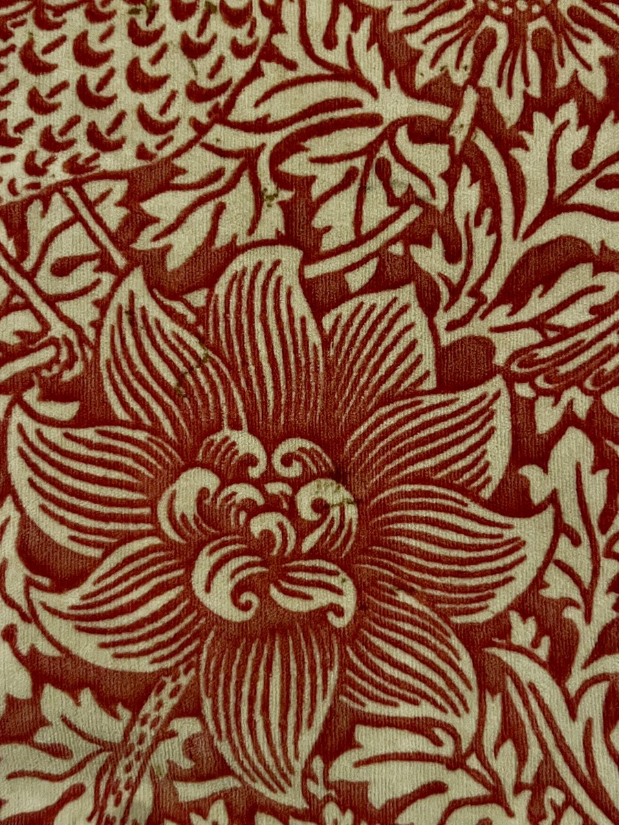 Nicolas Milovanovic tweet media