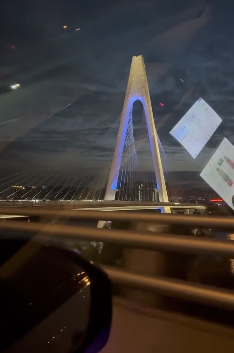 Li Lu🌸 tweet media