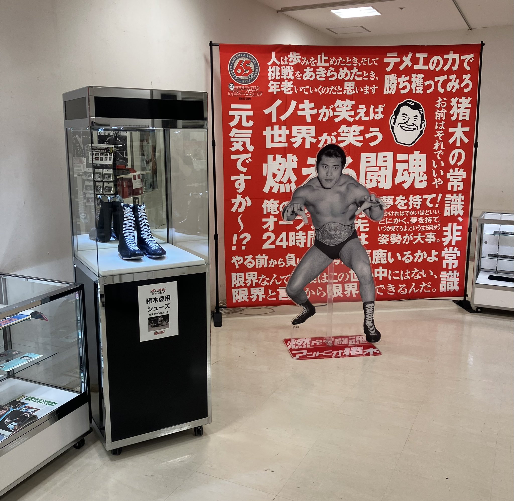猪木 新日本プロレス アントニオ猪木 展示中 in Museum of