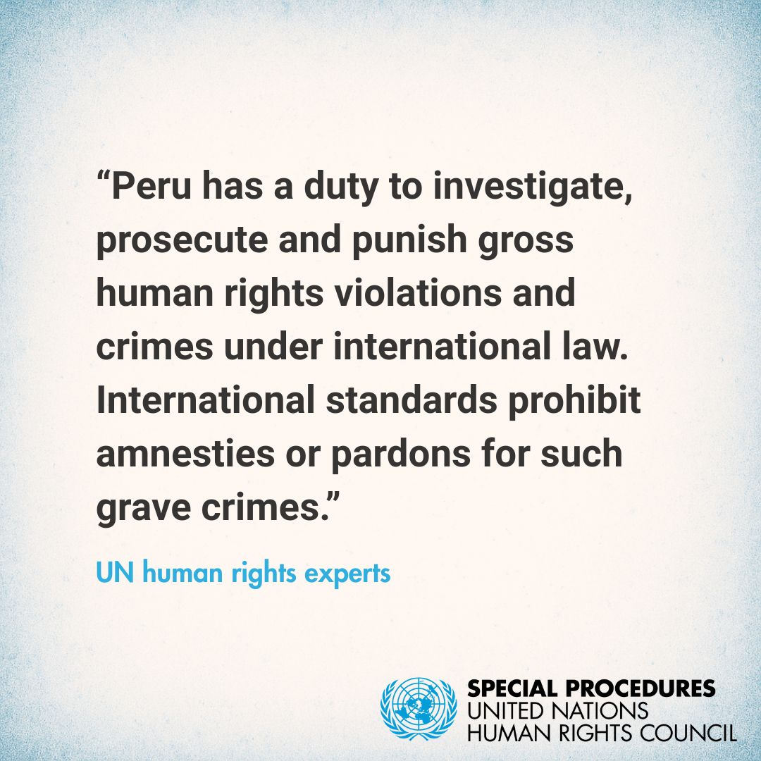 UN_SPExperts's tweet image. #Peru: UN experts alarmed at the Congress approval of a bill granting amnesty to perpetrators of gross human rights violations committed in the 1980-2000 internal armed conflict.
ohchr.org/en/press-relea…