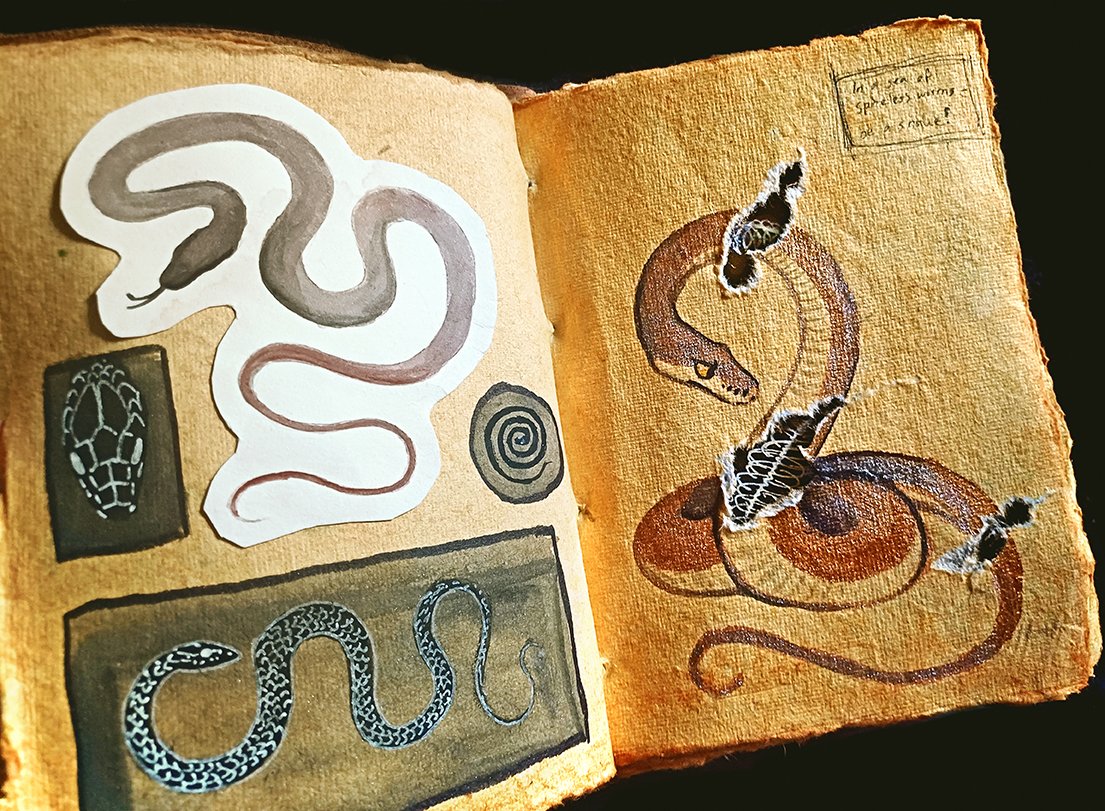 Thaisuppe's tweet image. In a World of Spineless Worms, be a Snake.
~
Happy World Snake Day 馃悕 (which i completely have slept over).