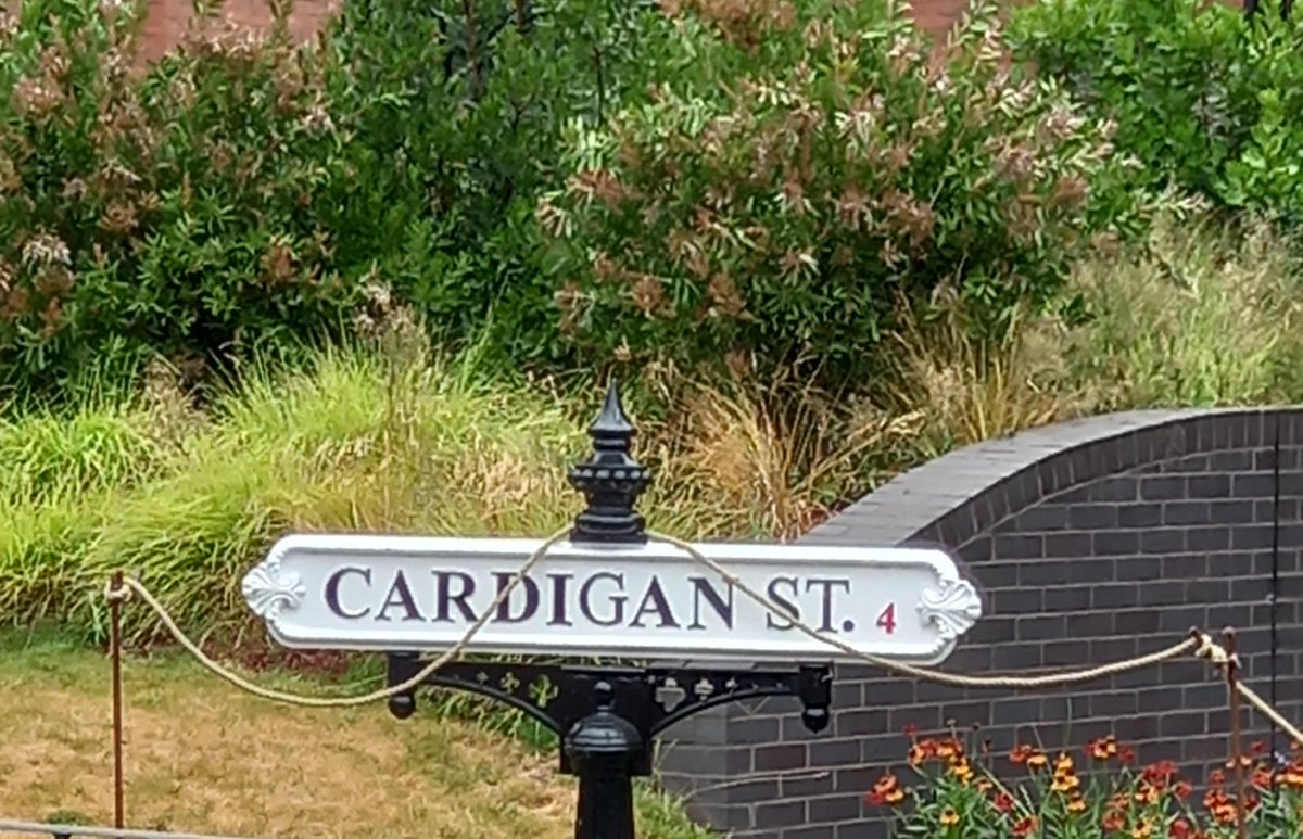 At an archive, on Cardigan Street. Could this nerdy researcher be any happier? *
* No. She could not ......