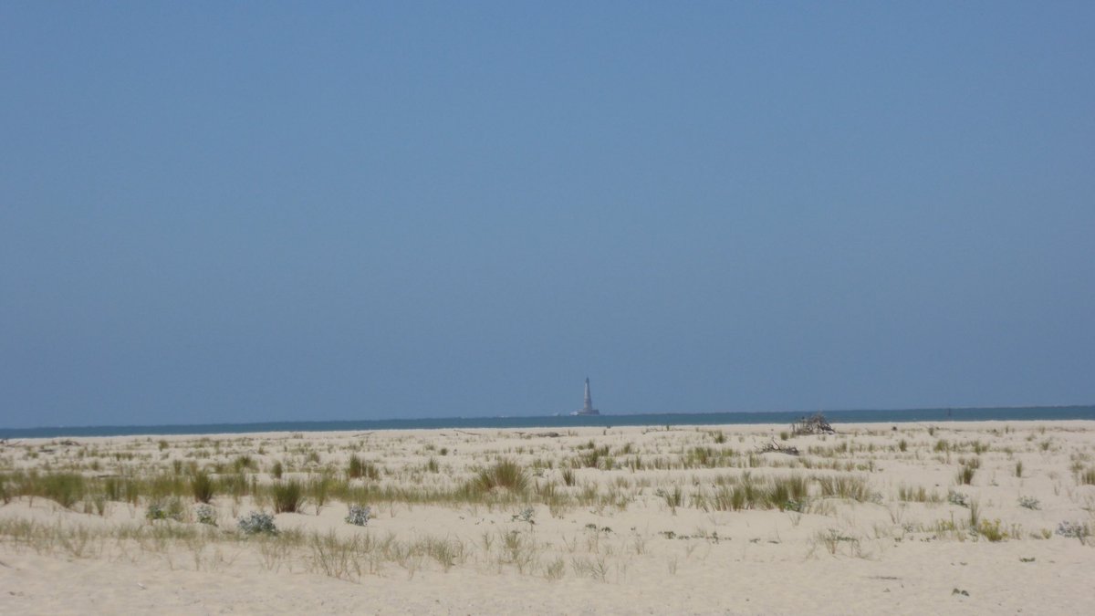 Marc__Mathey's tweet image. #AnnéedelaMer | #Cordouan au loin

#JeudiPhoto #PatrimoineMondial
📍Le Verdon sur Mer / Pointe de Grave