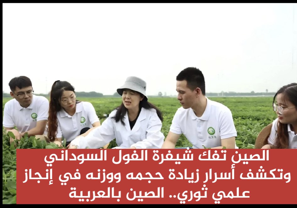 🇨🇳
🔴غير عادي
خريطة جينية مذهلة تقود الصين لابتكار فول سوداني أكبر وأغنى من أي وقت مضى🌱

أعلن فريق من جامعة خنان الزراعية في 14 يوليو عن إنجاز علمي غير مسبوق:
 رسم أول خريطة جينومية شاملة وعالية الجودة للفول السوداني، واكتشاف الجينات الرئيسية التي تتحكم في حجم ووزن حباته، أبرزها