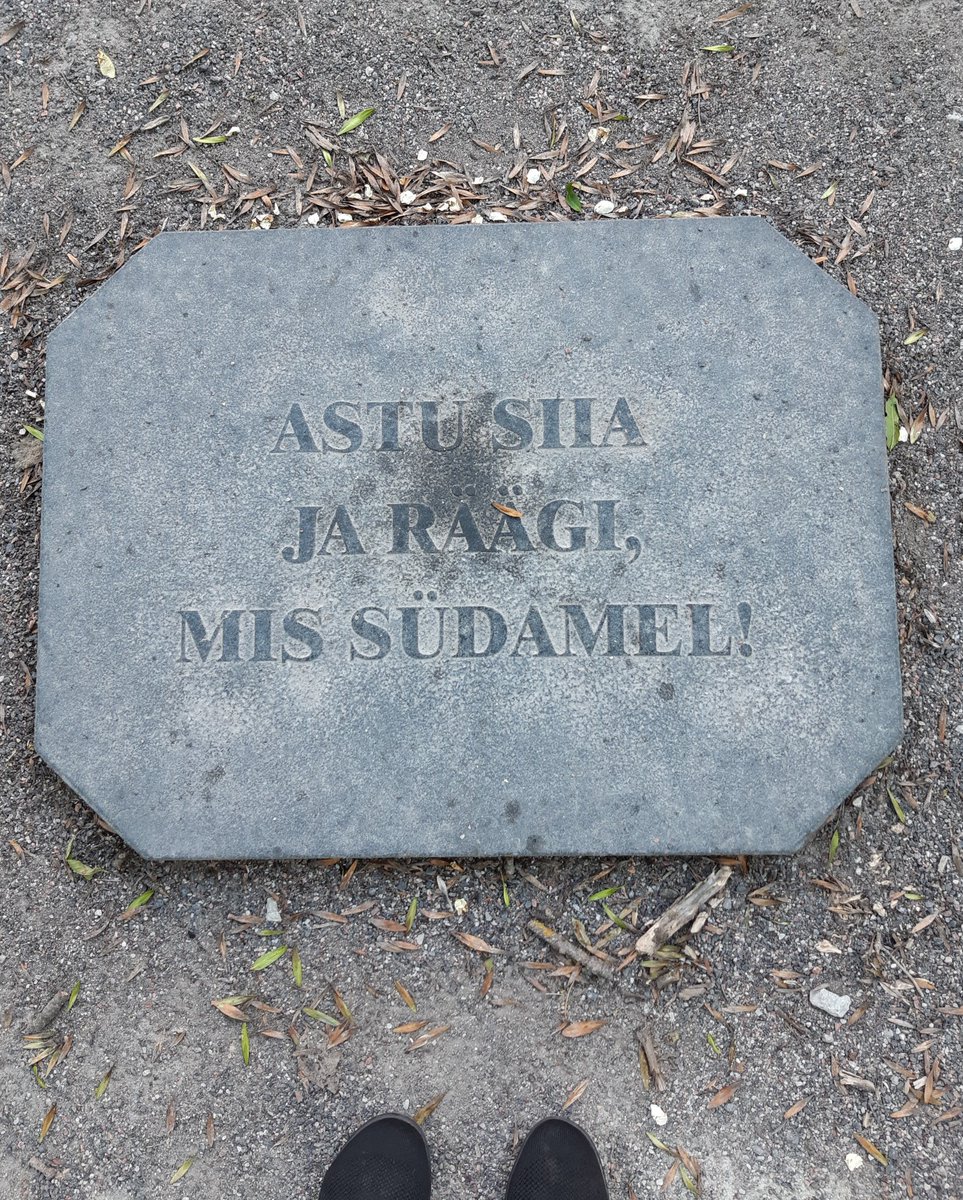 Terkkuja helteisestä Tallinnasta 🤗