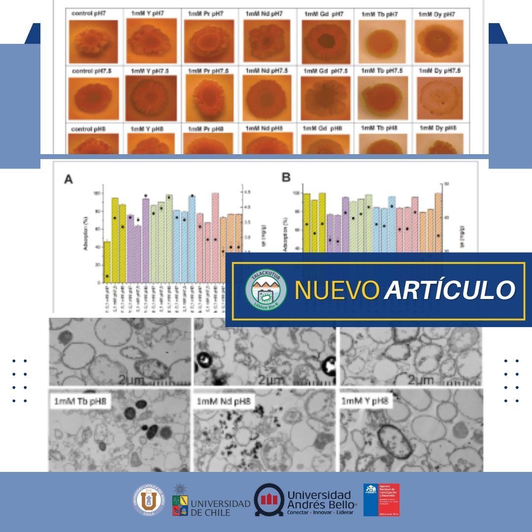 Lithium_rucn's tweet image. 🔬 Nos complace anunciar la publicación del primer paper científico vinculado al proyecto, en la revista Frontiers in Microbiology (15 de julio 2025), con participación de nuestr@s investigador@s Francisco Remonsellez y Génesis Serrano.