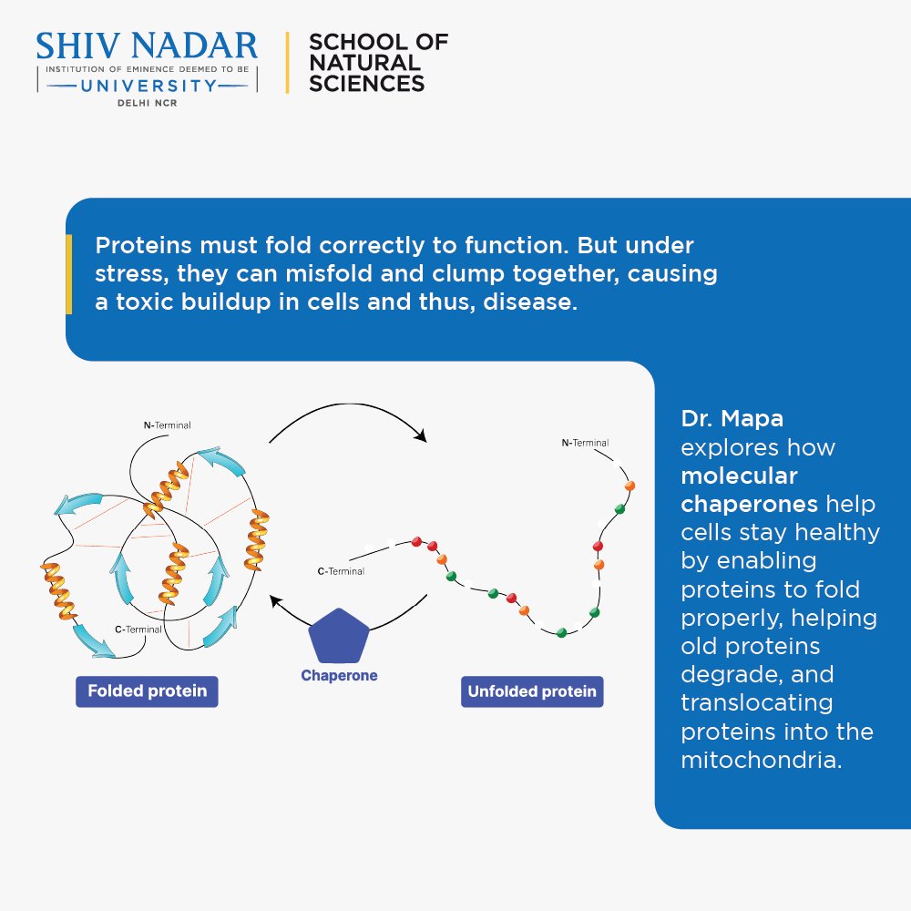 SNU_NatScience tweet picture