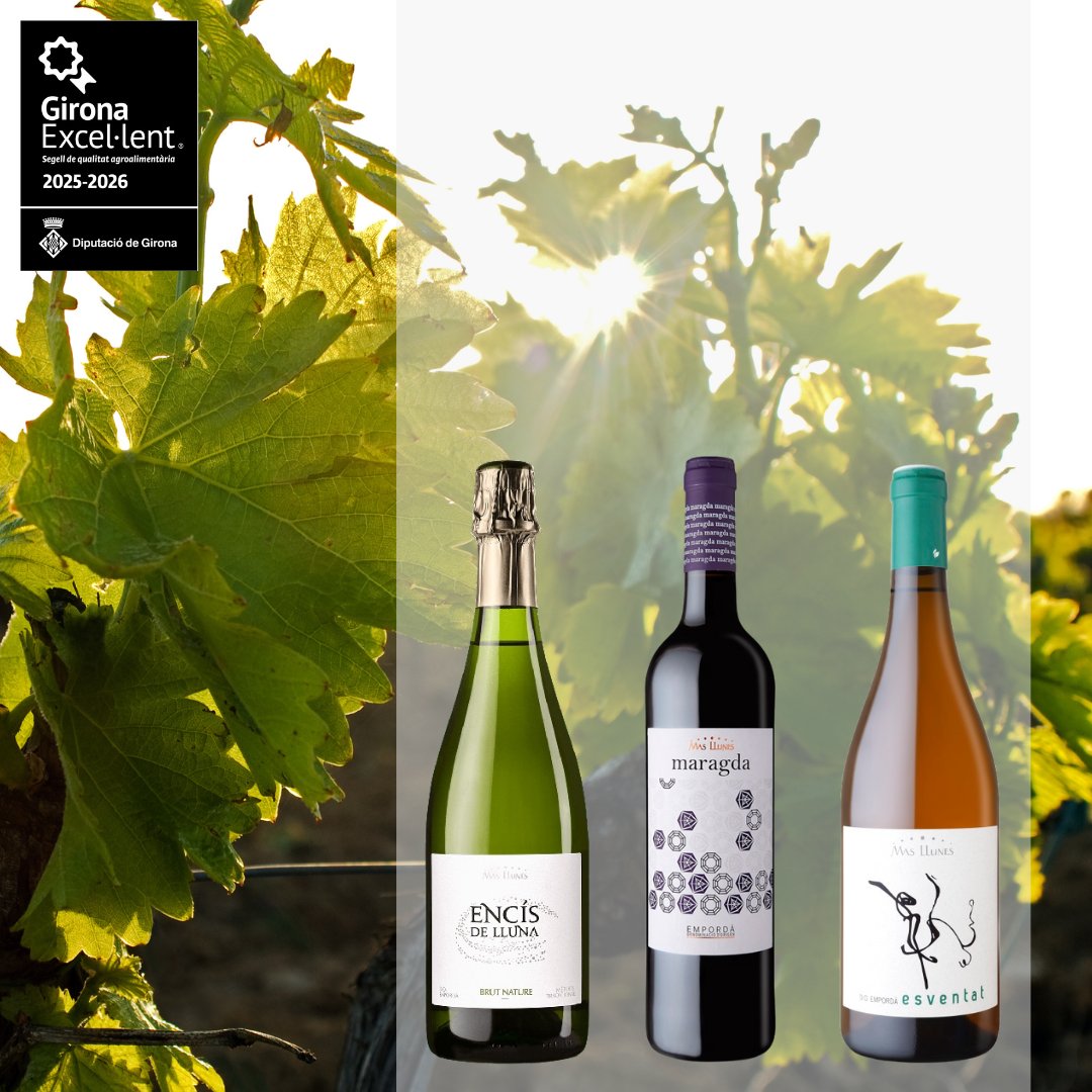 ✨ Tres dels nostres vins han estat distingits amb el Segell Girona Excel·lent 25-26, un reconeixement de la @diputaciogirona a la qualitat dels productes agroalimentaris de les comarques gironines 🍇🍷

🏅 Encís de Lluna
🏅 Maragda negre
🏅 Esventat blanc