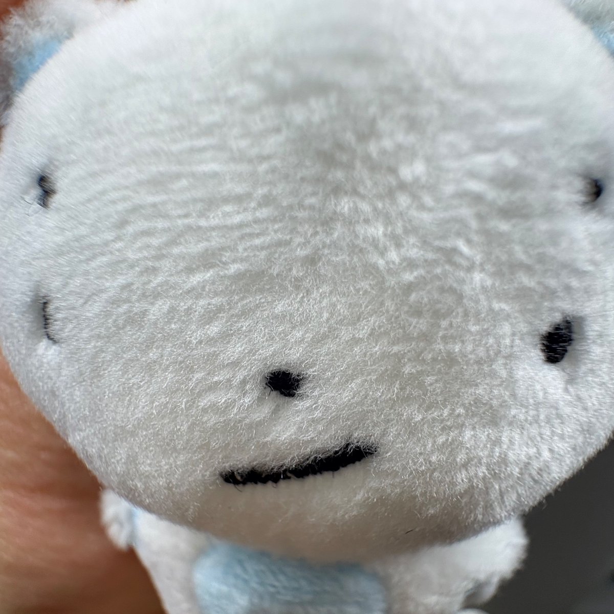 집에 뽀뽀낙이 왔다//