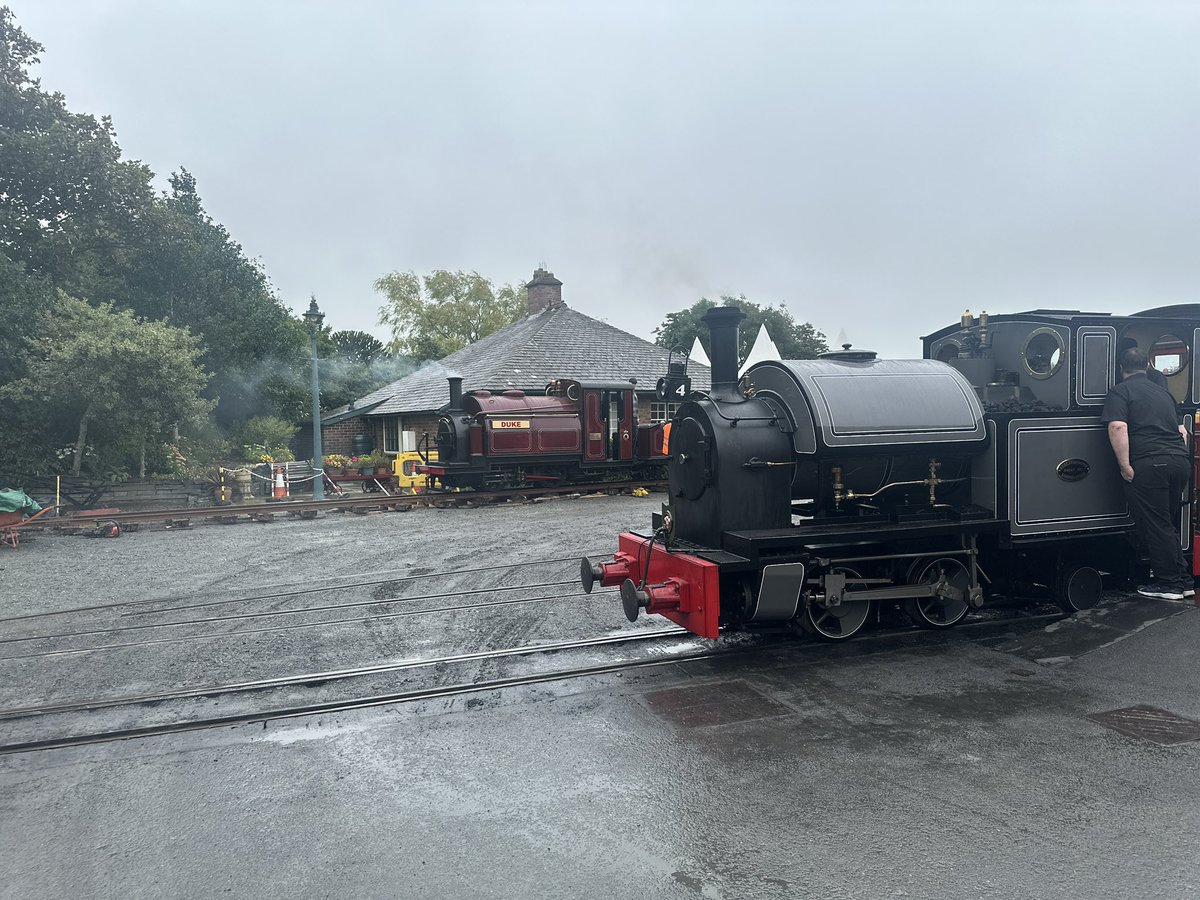 “Look it’s grand puff!” Exclaimed Petersam