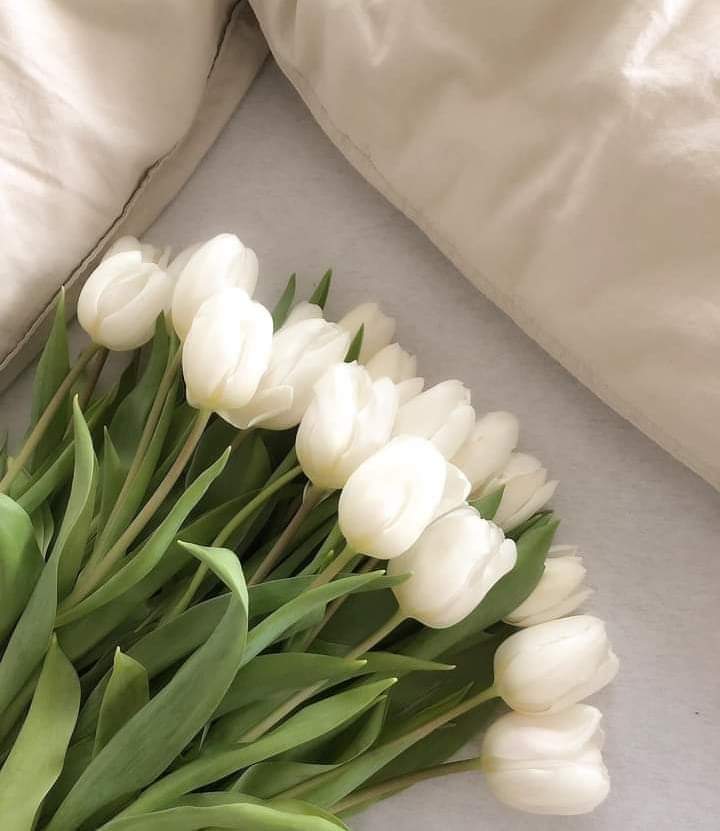 أصدقائي الطيبين ده حسابي الجديد 
اتشرف بمتابعتكم.