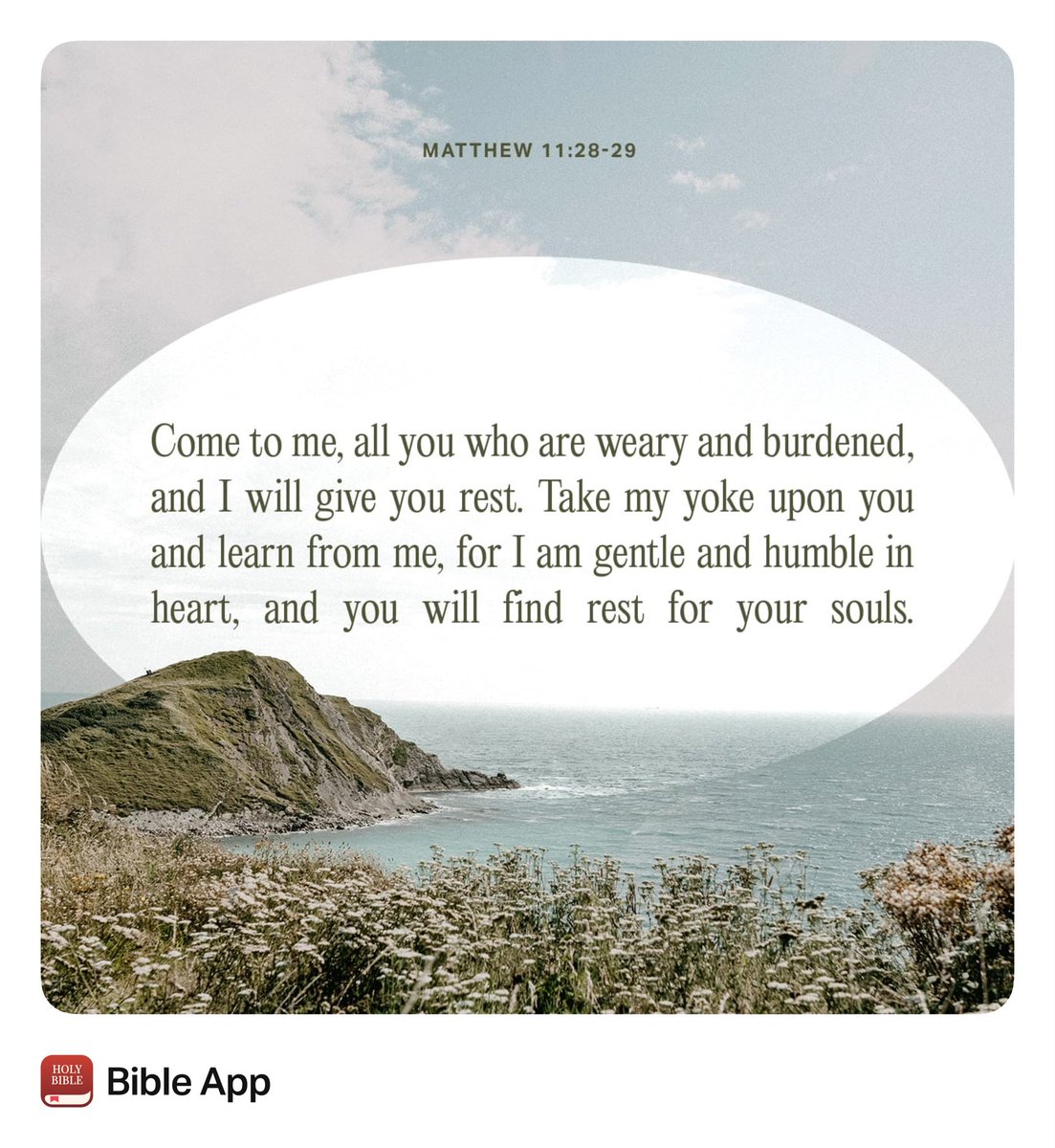 Coach Kendall (@coach_kendall_1) on Twitter photo 