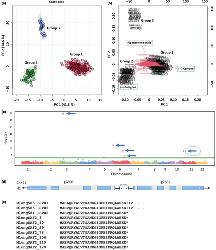NewPhyt's tweet image. Transgressive segregation affects #EssentialOil composition in a model #mint population

A #Letter by Lange et al.
👇

📖 nph.onlinelibrary.wiley.com/doi/10.1111/np…

#LatestIssue @wileyplantsci