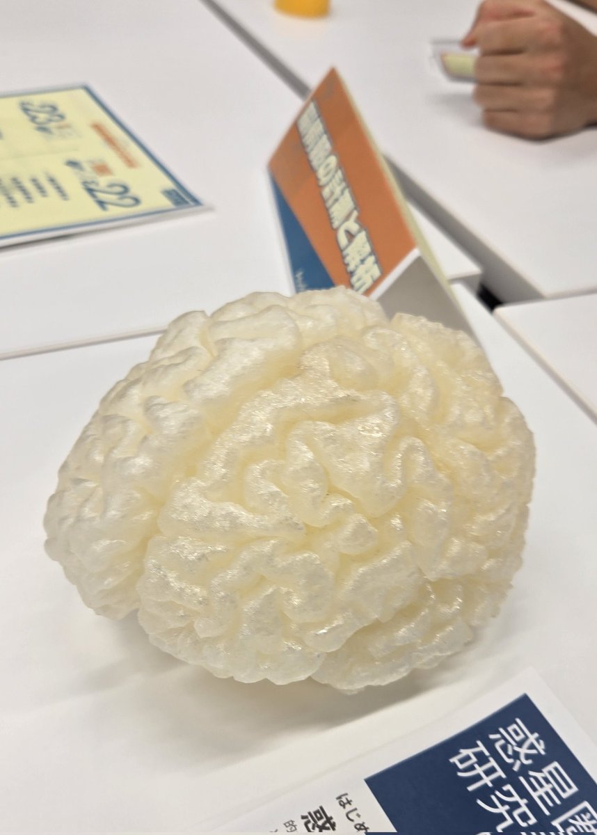 moons_dev's tweet image. 脳